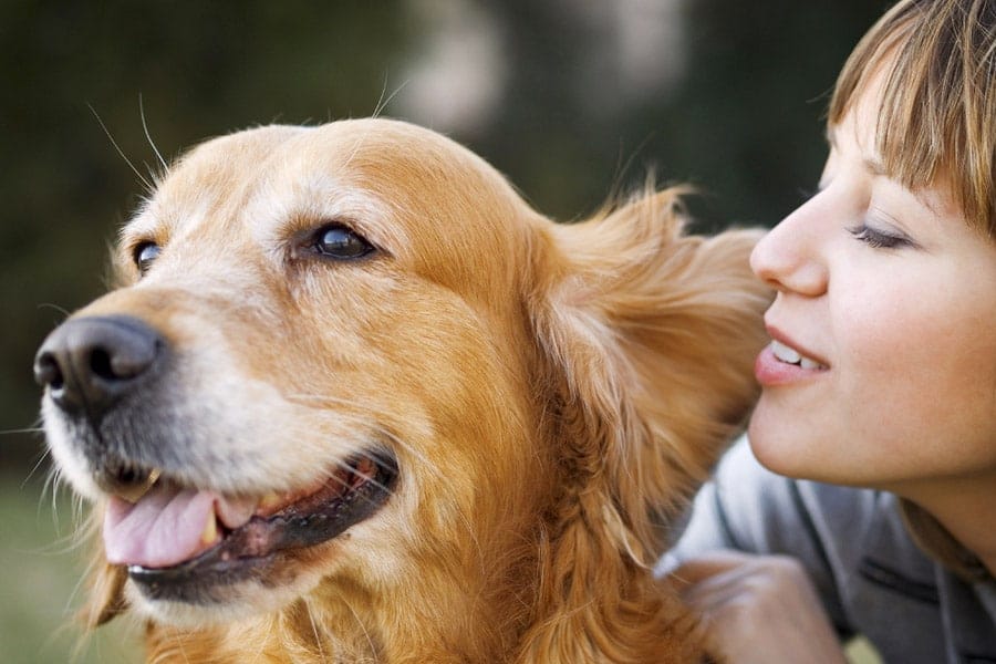 Woman Next to Retriever 1